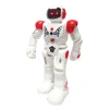RC Interactive Robot