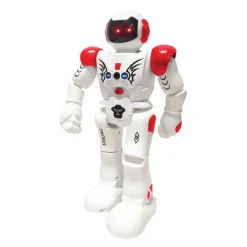 RC Interactive Robot