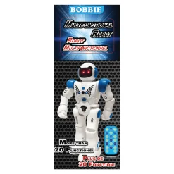 RC Interactive Robot
