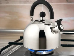 ROB - Stainless Steel Whistling Kettle Mirror Finish