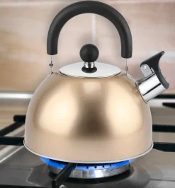 ROB - Stainless Steel Whistling Kettle Metallic Color