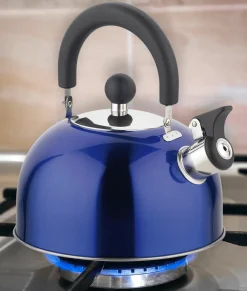 ROB - Stainless Steel Whistling Kettle Metallic Color