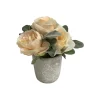 Rose Flower In Ceramic Pot