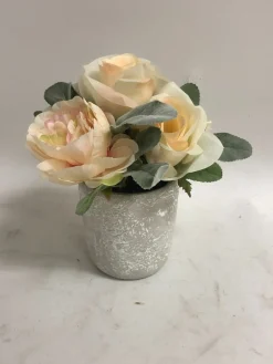 Rose Flower In Ceramic Pot