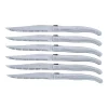 Silver 6-Piece Steak Knife Set with Wooden Box
