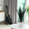 Snake Plant Ceramic Pot 11x37
