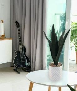 Snake Plant Ceramic Pot 11x37