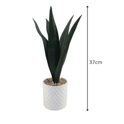Snake Plant Ceramic Pot 11x37