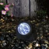 Solar Rock Garden Light