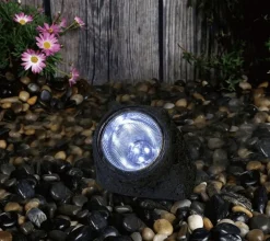 Solar Rock Garden Light