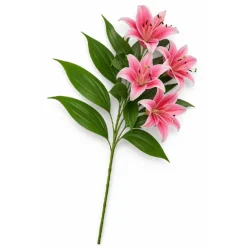 Spring Floral Bouquet – Assorted Styles