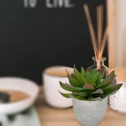 Succulent Cement Pot 13x13