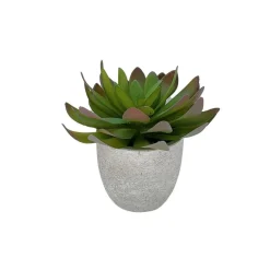 Succulent Cement Pot 13x13