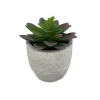 Succulent Cement Pot 10x11.5