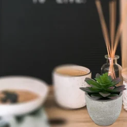 Succulent Cement Pot 10x11.5