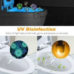 Toilet Induction Lamp