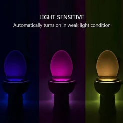 Toilet Induction Lamp