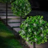 Topiary Ball Solar Stakes X 3 30l 16.5in