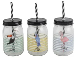 Tropical Birds Drinking Jar With Straw