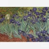 Van Gogh Fashion Scarves