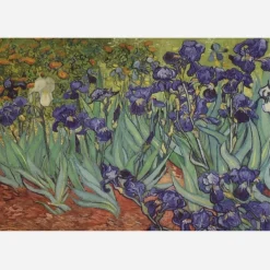 Van Gogh Fashion Scarves