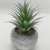 Vintage-Style Succulent | 12 x 19.5 cm (4.8 x 7.7")
