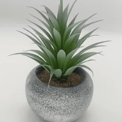 Vintage-Style Succulent | 12 x 19.5 cm (4.8 x 7.7")