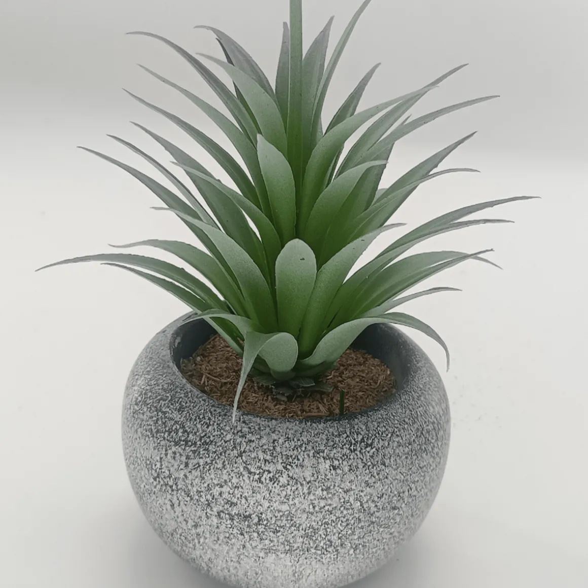 Vintage-Style Succulent | 12 x 19.5 cm (4.8 x 7.7")