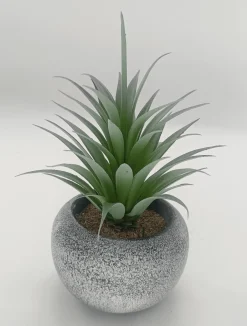 Vintage-Style Succulent | 12 x 19.5 cm (4.8 x 7.7