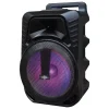 WATTSON - 10" Rechargeable speaker