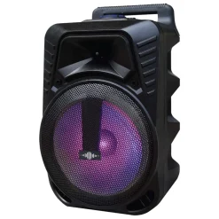 WATTSON - 10" Rechargeable speaker