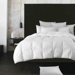 W Home - European White Down Pillow