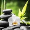 Zen Spa Canvas Wall Art – 80 x 80 x 2.5 cm