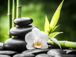 Zen Spa Canvas Wall Art – 80 x 80 x 2.5 cm