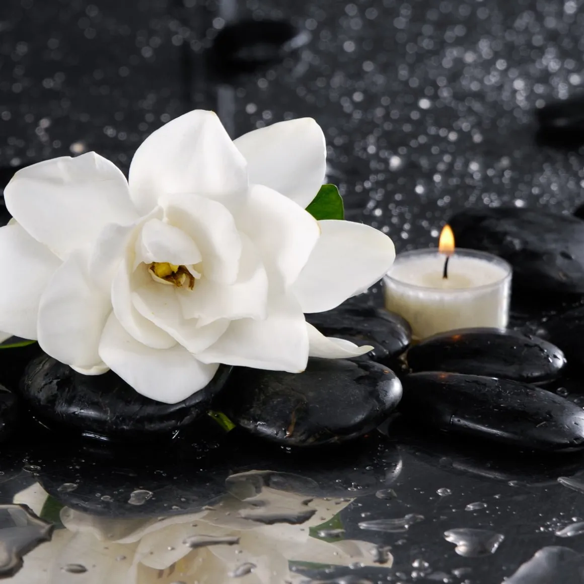 Zen Spa Canvas Wall Art – 80 x 80 x 2.5 cm