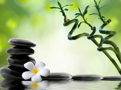Zen Spa Canvas Wall Art – 80 x 80 x 2.5 cm