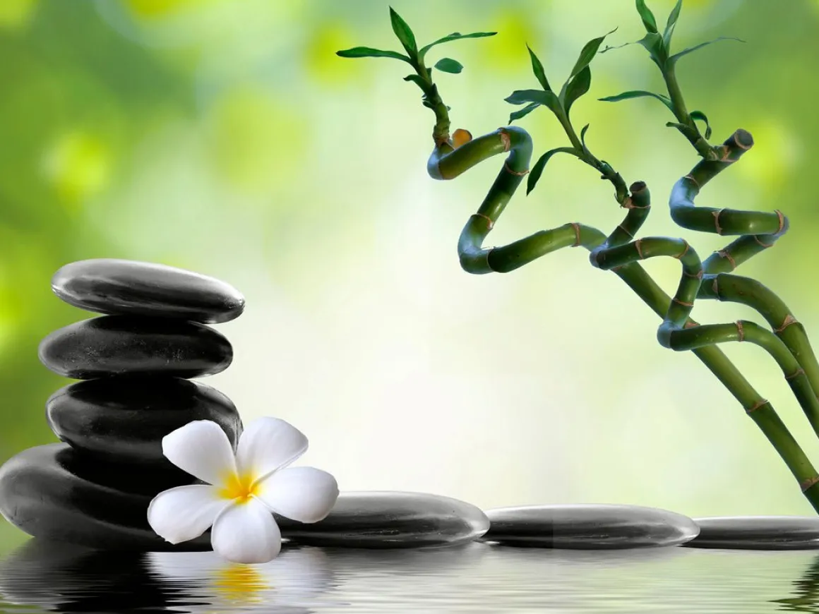 Zen Spa Canvas Wall Art – 80 x 80 x 2.5 cm